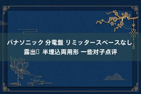 パナソニック 分電盤 リミッタースペースなし 露出・半埋込両用形 一些对子点评