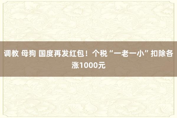 调教 母狗 国度再发红包！个税“一老一小”扣除各涨1000元