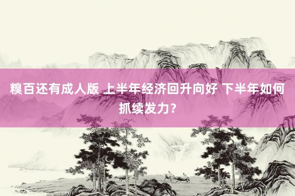 糗百还有成人版 上半年经济回升向好 下半年如何抓续发力？