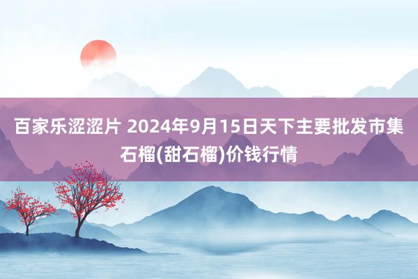 百家乐涩涩片 2024年9月15日天下主要批发市集石榴(甜石榴)价钱行情