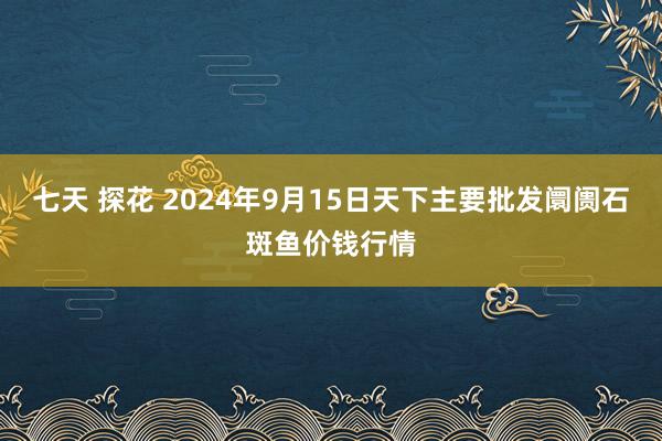 七天 探花 2024年9月15日天下主要批发阛阓石斑鱼价钱行情