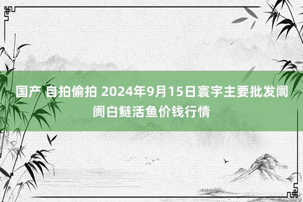 国产 自拍偷拍 2024年9月15日寰宇主要批发阛阓白鲢活鱼价钱行情