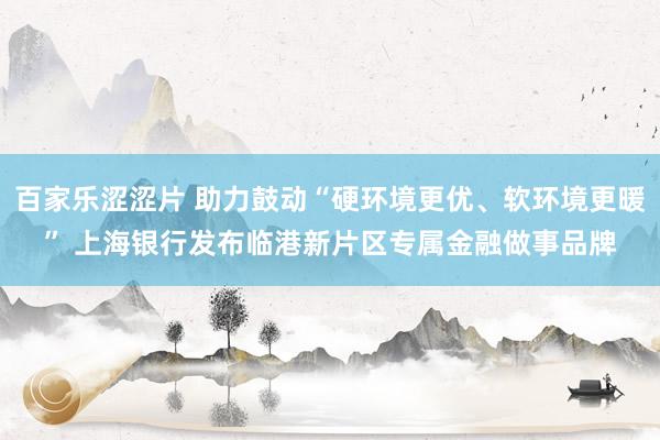 百家乐涩涩片 助力鼓动“硬环境更优、软环境更暖” 上海银行发布临港新片区专属金融做事品牌