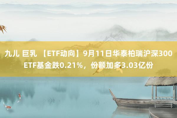 九儿 巨乳 【ETF动向】9月11日华泰柏瑞沪深300ETF基金跌0.21%，份额加多3.03亿份