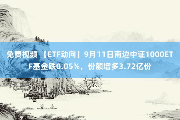 免费视频 【ETF动向】9月11日南边中证1000ETF基金跌0.05%，份额增多3.72亿份