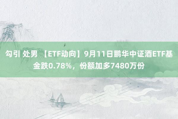 勾引 处男 【ETF动向】9月11日鹏华中证酒ETF基金跌0.78%，份额加多7480万份