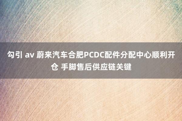 勾引 av 蔚来汽车合肥PCDC配件分配中心顺利开仓 手脚售后供应链关键