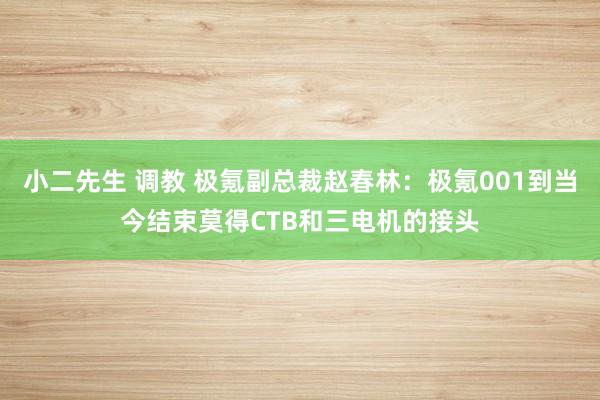 小二先生 调教 极氪副总裁赵春林：极氪001到当今结束莫得CTB和三电机的接头