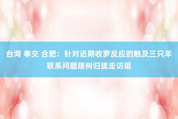 台灣 拳交 合肥：针对近期收罗反应的触及三只羊联系问题建树归拢走访组