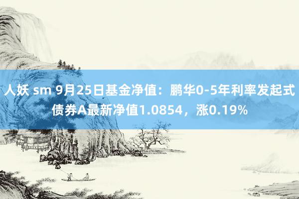 人妖 sm 9月25日基金净值：鹏华0-5年利率发起式债券A最新净值1.0854，涨0.19%