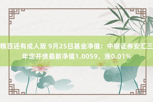 糗百还有成人版 9月25日基金净值：中银证券安汇三年定开债最新净值1.0059，涨0.01%