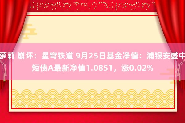 萝莉 崩坏：星穹铁道 9月25日基金净值：浦银安盛中短债A最新净值1.0851，涨0.02%