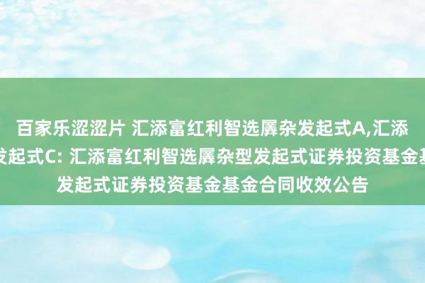 百家乐涩涩片 汇添富红利智选羼杂发起式A，汇添富红利智选羼杂发起式C: 汇添富红利智选羼杂型发起式证券投资基金基金合同收效公告