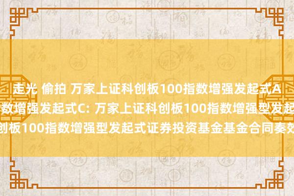 走光 偷拍 万家上证科创板100指数增强发起式A，万家上证科创板100指数增强发起式C: 万家上证科创板100指数增强型发起式证券投资基金基金合同奏效公告