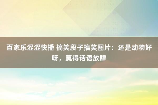 百家乐涩涩快播 搞笑段子搞笑图片：还是动物好呀，莫得话语放肆