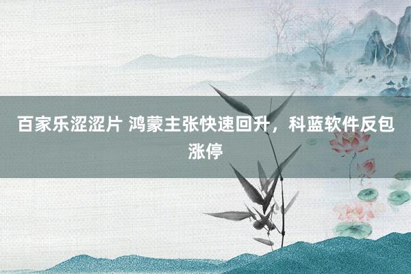 百家乐涩涩片 鸿蒙主张快速回升，科蓝软件反包涨停