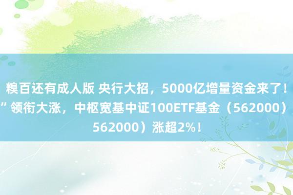 糗百还有成人版 央行大招，5000亿增量资金来了！“中字头”领衔大涨，中枢宽基中证100ETF基金（562000）涨超2%！