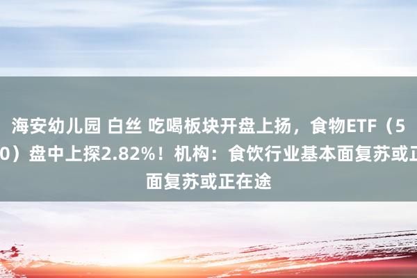 海安幼儿园 白丝 吃喝板块开盘上扬，食物ETF（515710）盘中上探2.82%！机构：食饮行业基本面复苏或正在途