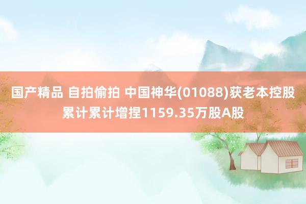 国产精品 自拍偷拍 中国神华(01088)获老本控股累计累计增捏1159.35万股A股