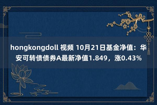 hongkongdoll 视频 10月21日基金净值：华安可转债债券A最新净值1.849，涨0.43%