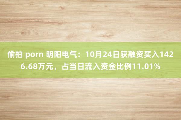 偷拍 porn 明阳电气：10月24日获融资买入1426.68万元，占当日流入资金比例11.01%