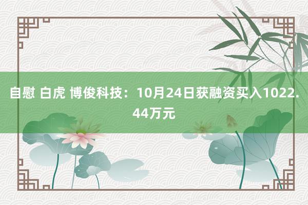 自慰 白虎 博俊科技：10月24日获融资买入1022.44万元