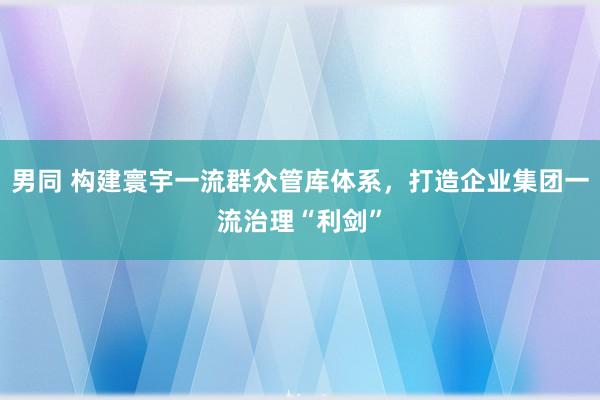 男同 构建寰宇一流群众管库体系，打造企业集团一流治理“利剑”