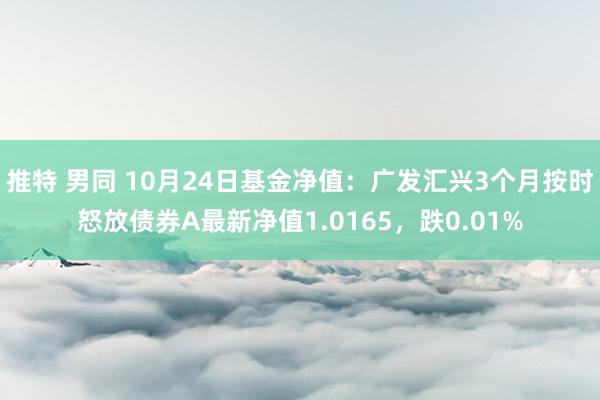 推特 男同 10月24日基金净值：广发汇兴3个月按时怒放债券A最新净值1.0165，跌0.01%