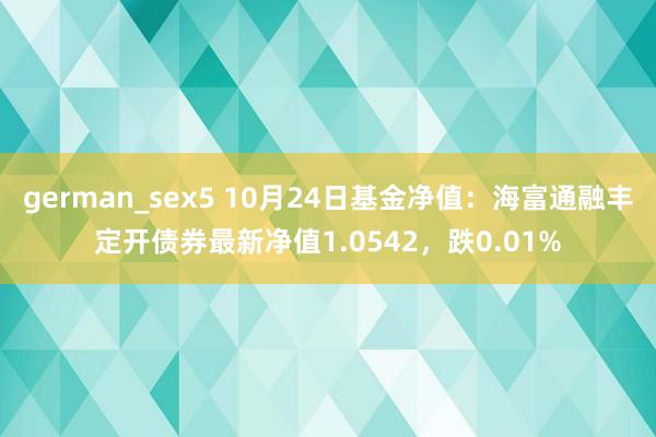 german_sex5 10月24日基金净值：海富通融丰定开债券最新净值1.0542，跌0.01%