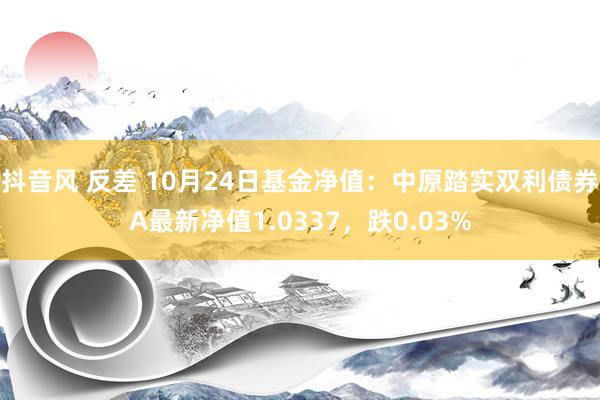 抖音风 反差 10月24日基金净值：中原踏实双利债券A最新净值1.0337，跌0.03%