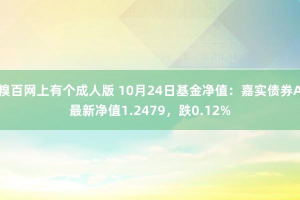 糗百网上有个成人版 10月24日基金净值：嘉实债券A最新净值1.2479，跌0.12%