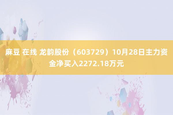 麻豆 在线 龙韵股份（603729）10月28日主力资金净买入2272.18万元