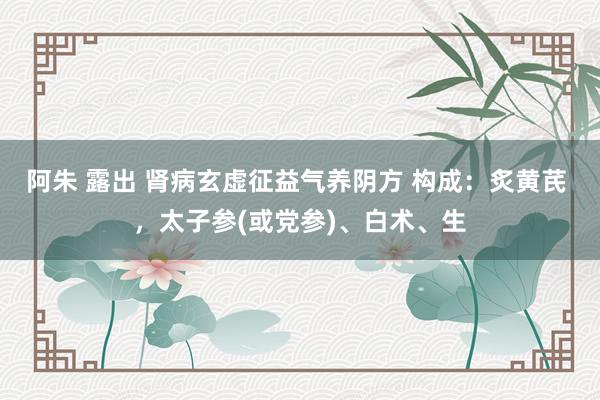 阿朱 露出 肾病玄虚征益气养阴方 构成：炙黄芪 ，太子参(或党参)、白术、生