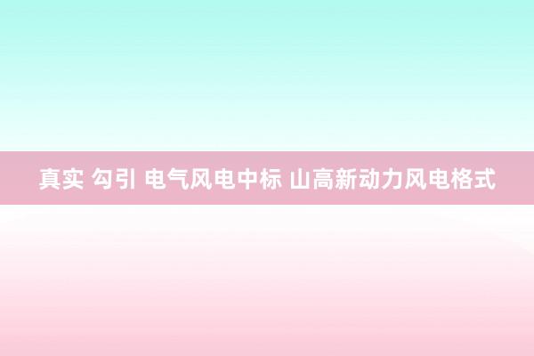 真实 勾引 电气风电中标 山高新动力风电格式