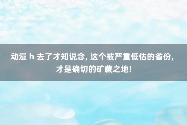 动漫 h 去了才知说念， 这个被严重低估的省份， 才是确切的矿藏之地!