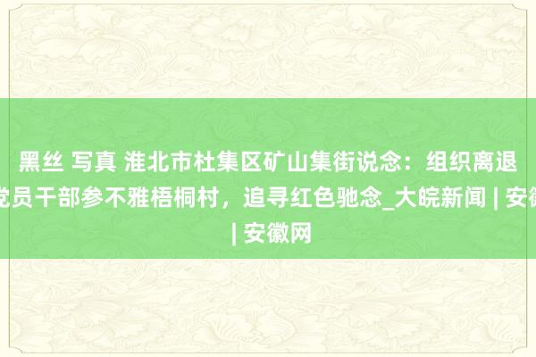 黑丝 写真 淮北市杜集区矿山集街说念：组织离退休党员干部参不雅梧桐村，追寻红色驰念_大皖新闻 | 安徽网