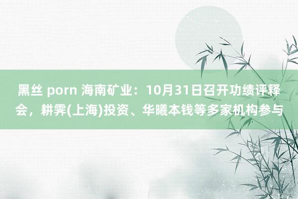 黑丝 porn 海南矿业：10月31日召开功绩评释会，耕霁(上海)投资、华曦本钱等多家机构参与