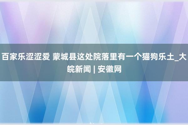 百家乐涩涩爱 蒙城县这处院落里有一个猫狗乐土_大皖新闻 | 安徽网