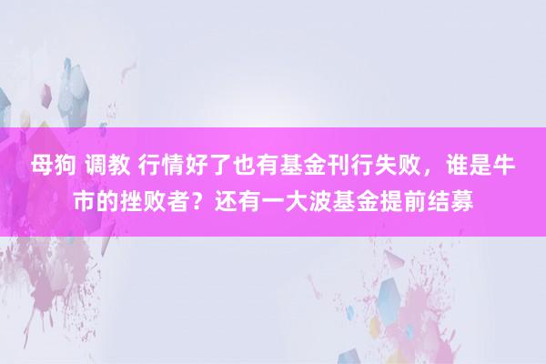 母狗 调教 行情好了也有基金刊行失败，谁是牛市的挫败者？还有一大波基金提前结募