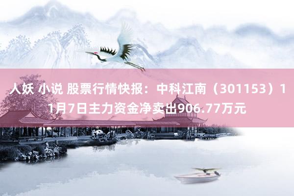 人妖 小说 股票行情快报：中科江南（301153）11月7日主力资金净卖出906.77万元