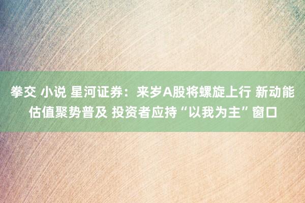 拳交 小说 星河证券：来岁A股将螺旋上行 新动能估值聚势普及 投资者应持“以我为主”窗口