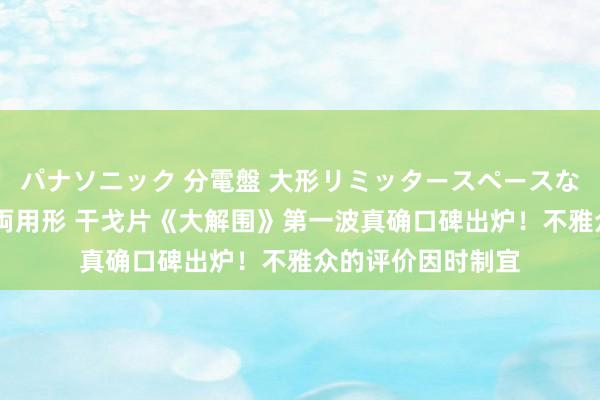 パナソニック 分電盤 大形リミッタースペースなし 露出・半埋込両用形 干戈片《大解围》第一波真确口碑出炉！不雅众的评价因时制宜