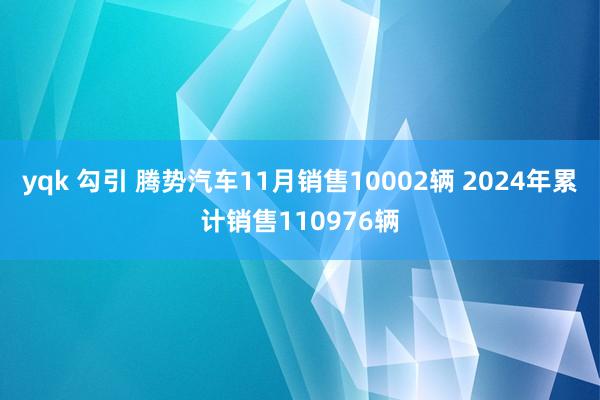 yqk 勾引 腾势汽车11月销售10002辆 2024年累计销售110976辆