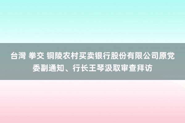 台灣 拳交 铜陵农村买卖银行股份有限公司原党委副通知、行长王琴汲取审查拜访