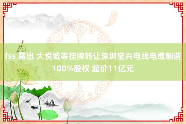 fss 露出 大悦城等挂牌转让深圳宝兴电线电缆制造100%股权 起价11亿元