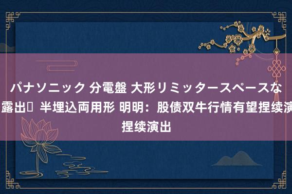 パナソニック 分電盤 大形リミッタースペースなし 露出・半埋込両用形 明明：股债双牛行情有望捏续演出