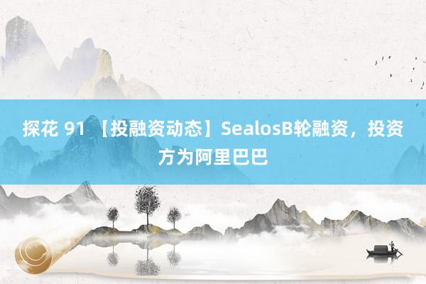 探花 91 【投融资动态】SealosB轮融资，投资方为阿里巴巴