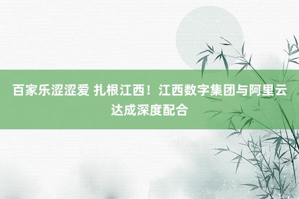 百家乐涩涩爱 扎根江西！江西数字集团与阿里云达成深度配合