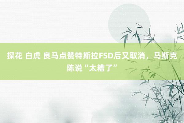 探花 白虎 良马点赞特斯拉FSD后又取消，马斯克陈说“太糟了”