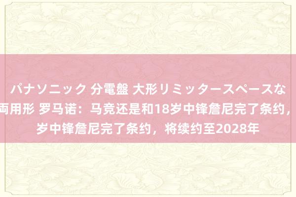 パナソニック 分電盤 大形リミッタースペースなし 露出・半埋込両用形 罗马诺：马竞还是和18岁中锋詹尼完了条约，将续约至2028年